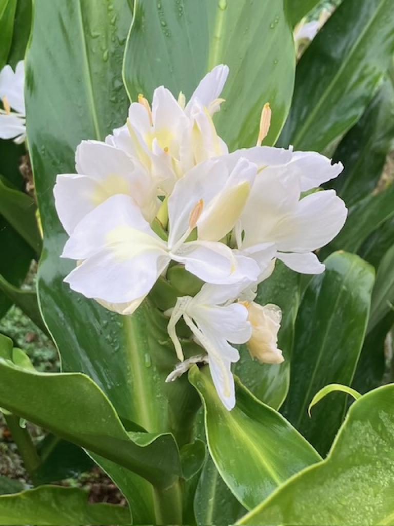 IMG_7247 jigsaw puzzle in Thomas Berry puzzles on TheJigsawPuzzles.com