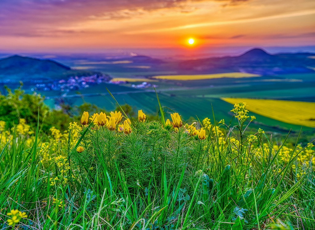 Beautiful Sunset jigsaw puzzle in Great Sightings puzzles on TheJigsawPuzzles.com