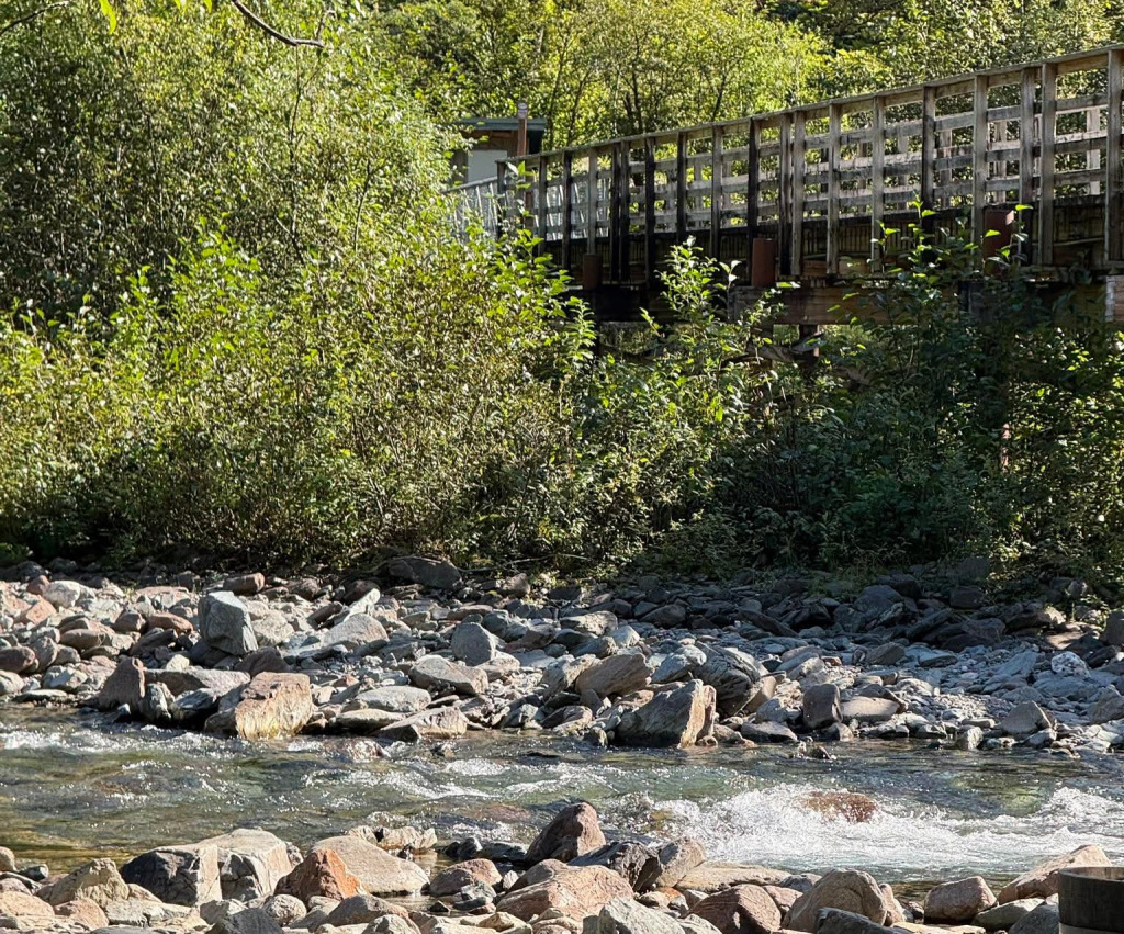 Somewhere in Alaska jigsaw puzzle in Valerie M Griffin puzzles on TheJigsawPuzzles.com