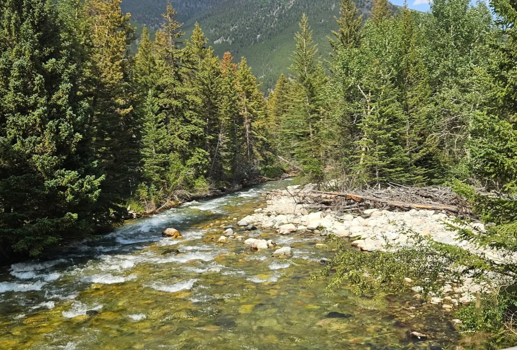 Somewhere in the Mountains jigsaw puzzle in Valerie M Griffin puzzles on TheJigsawPuzzles.com