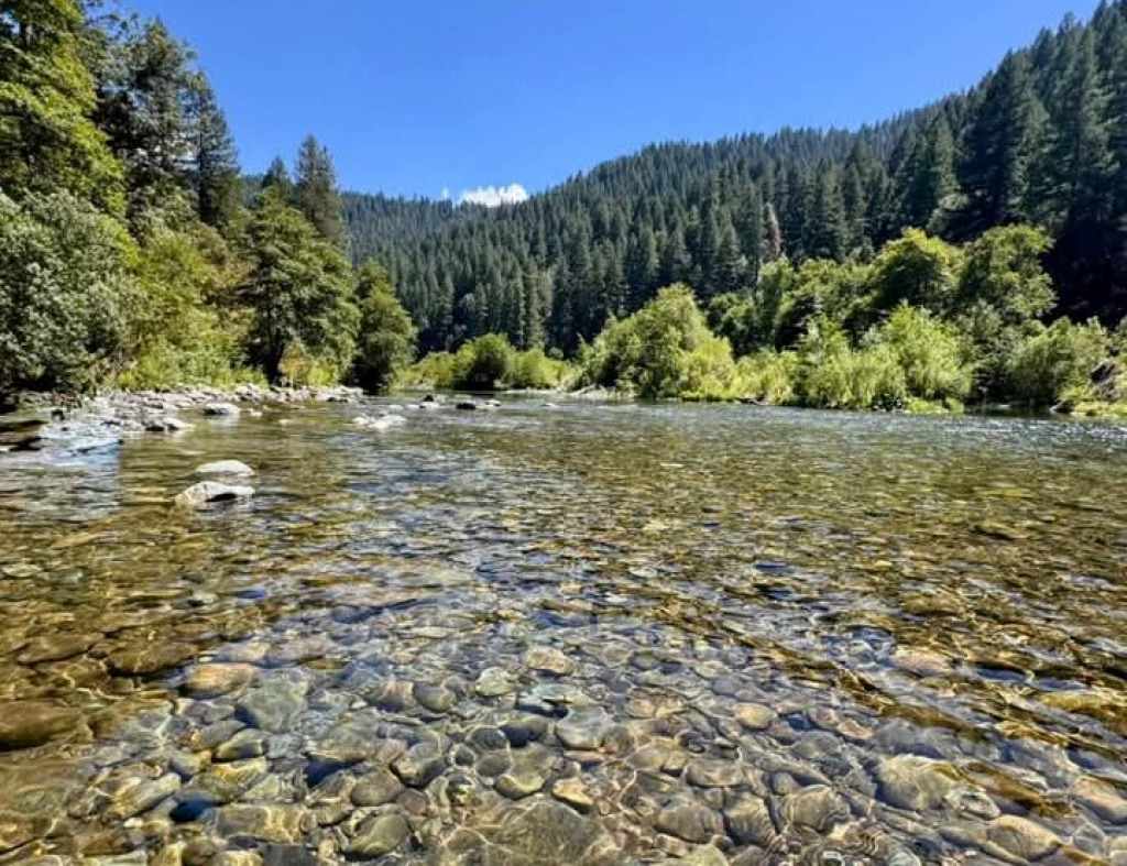 Yuba River, California jigsaw puzzle in Valerie M Griffin puzzles on TheJigsawPuzzles.com