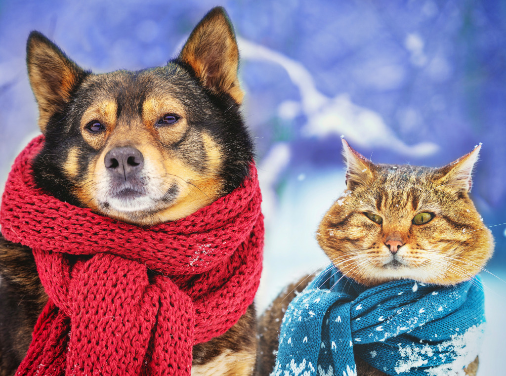 La promenade de Noël ensemble jigsaw puzzle in Noël et Nouvel An puzzles on TheJigsawPuzzles.com