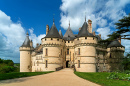 Medieval Castle on the Banks of the Loire