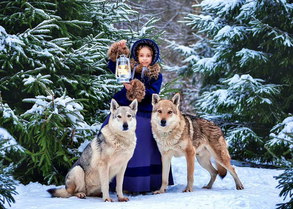 Une promenade à travers la forêt d’hiver jigsaw puzzle in Animaux puzzles on TheJigsawPuzzles.com