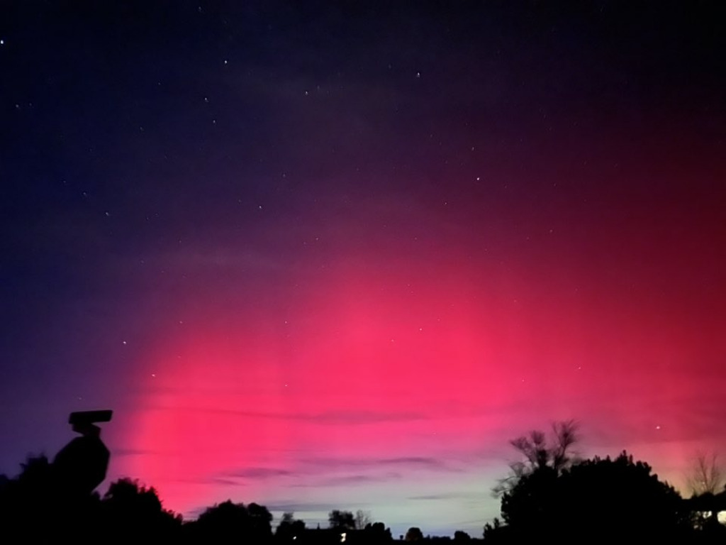 rose jigsaw puzzle in emilie10 puzzles on TheJigsawPuzzles.com