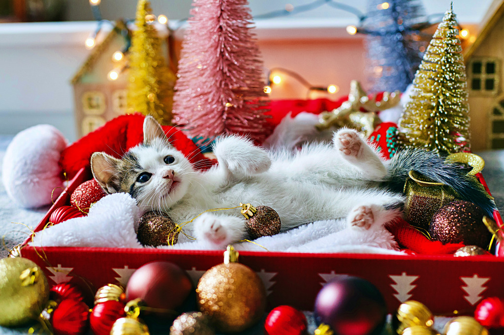 Ein Kätzchen, das mit Weihnachtsschmuckstücken spielt jigsaw puzzle in Tiere puzzles on TheJigsawPuzzles.com