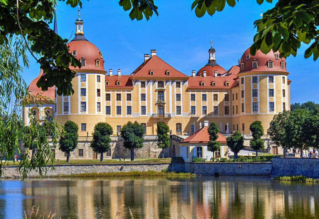 Moritzburg Hunting Lodge near Dresden, Germany jigsaw puzzle in Castles puzzles on TheJigsawPuzzles.com
