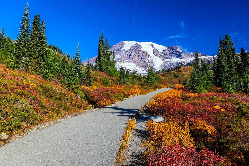 Paisagens Coloridas do Monte Rainier no Outono jigsaw puzzle in Lugares Maravilhosos puzzles on TheJigsawPuzzles.com
