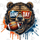 chicago bears