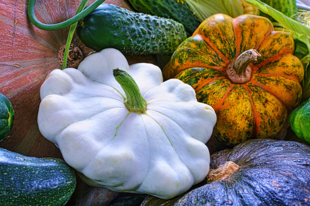 Pepino, Patisson e Várias Abóboras jigsaw puzzle in Frutas & Vegetais puzzles on TheJigsawPuzzles.com