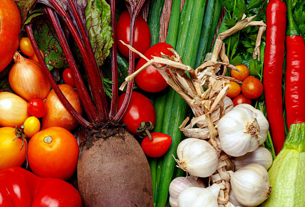 Сбор урожая в саду jigsaw puzzle in Фрукты и Овощи puzzles on TheJigsawPuzzles.com