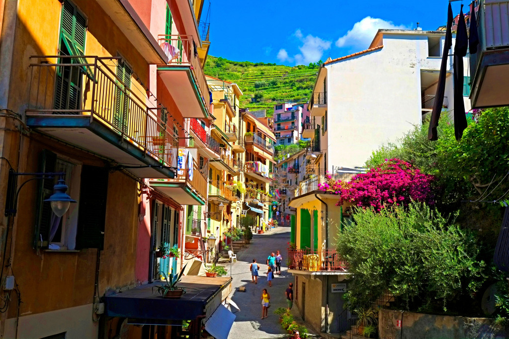 Торговая улица Манарола, Италия jigsaw puzzle in Улицы puzzles on TheJigsawPuzzles.com