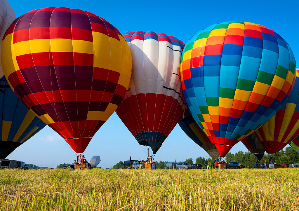 Hot Air Balloons Taking Off jigsaw puzzle in Puzzle of the Day puzzles on TheJigsawPuzzles.com