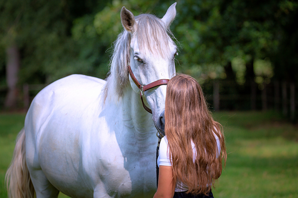 Femme brune avec un cheval blanc jigsaw puzzle in Animaux puzzles on TheJigsawPuzzles.com
