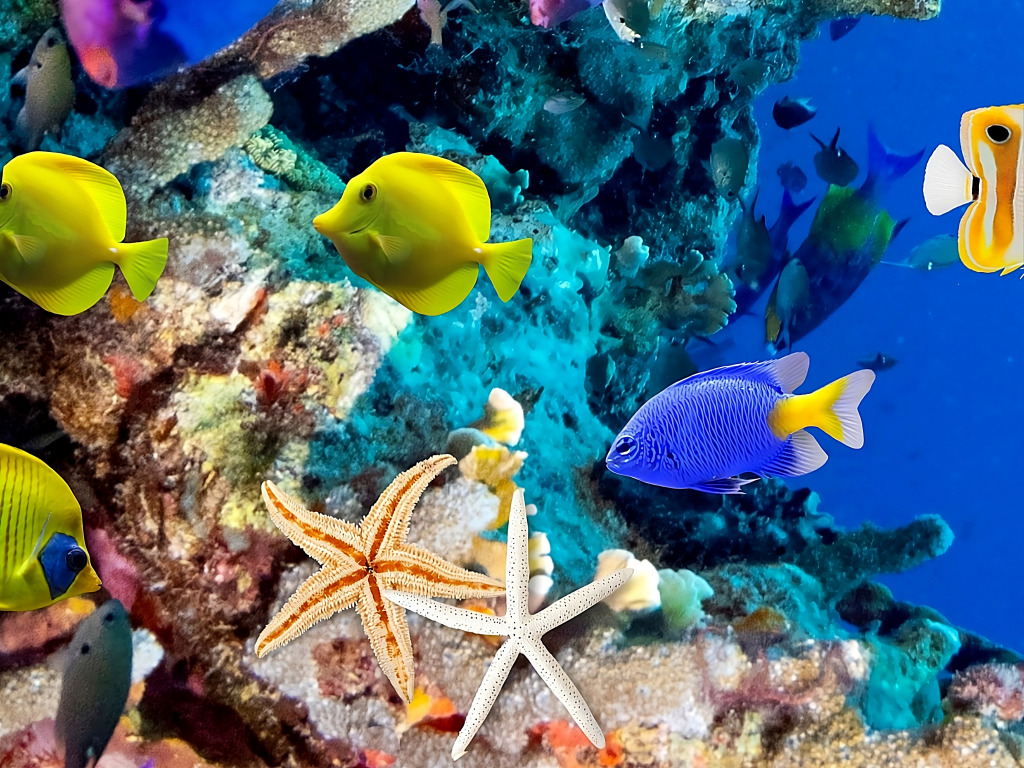 Vibrant Underwater Scene jigsaw puzzle in Under the Sea puzzles on TheJigsawPuzzles.com