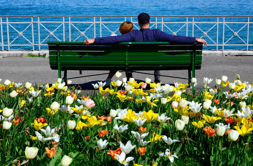 Paar ruht sich vor dem Genfersee aus jigsaw puzzle in Großartige Landschaften puzzles on TheJigsawPuzzles.com