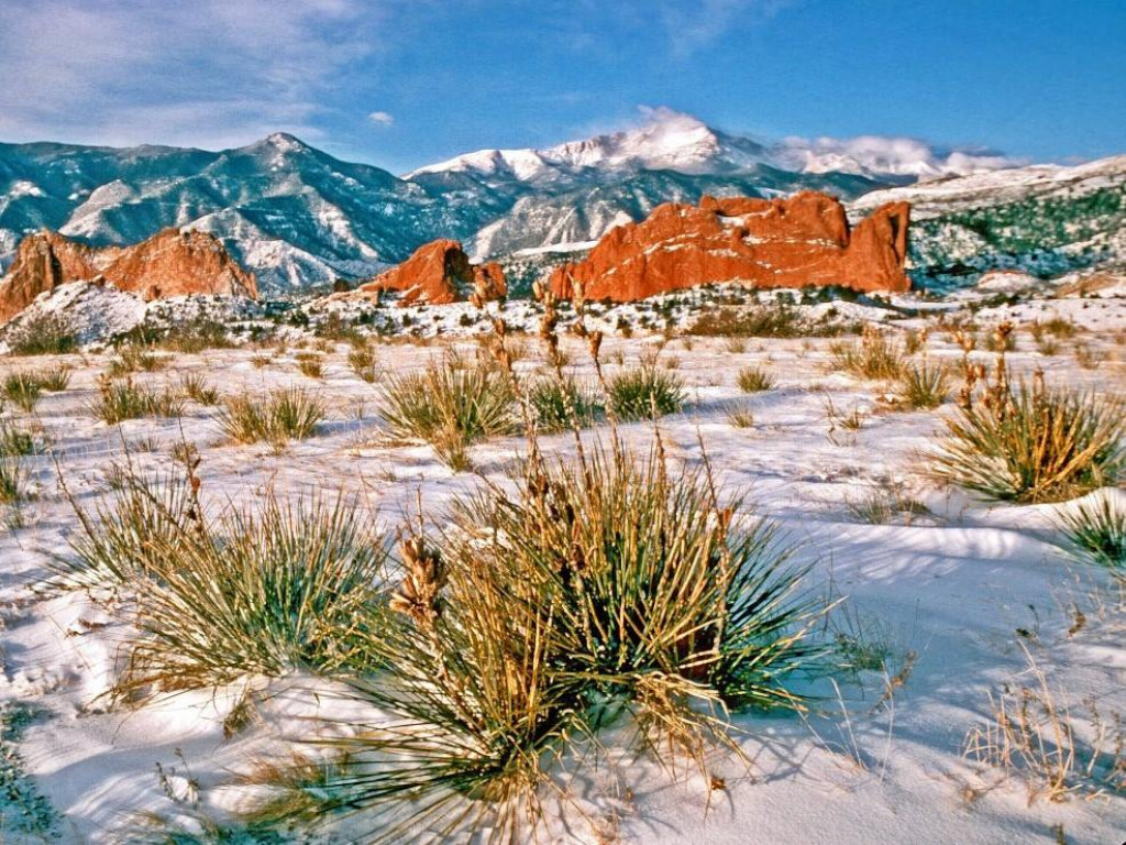 1 jigsaw puzzle in harold wilson puzzles on TheJigsawPuzzles.com