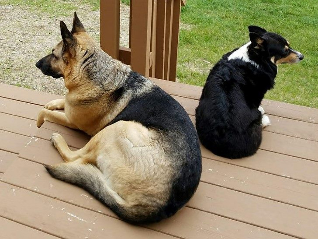 3 jigsaw puzzle in harold wilson puzzles on TheJigsawPuzzles.com