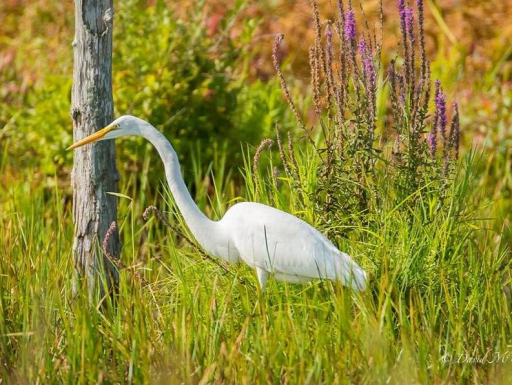 3 jigsaw puzzle in harold wilson puzzles on TheJigsawPuzzles.com