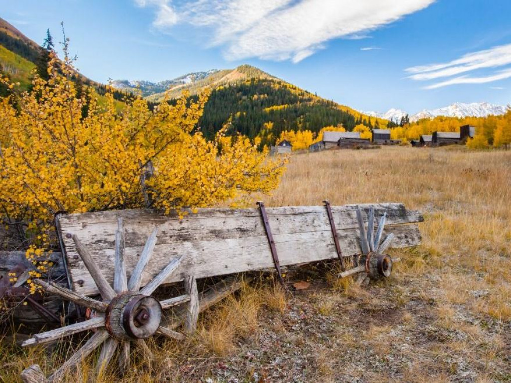 4 jigsaw puzzle in harold wilson puzzles on TheJigsawPuzzles.com