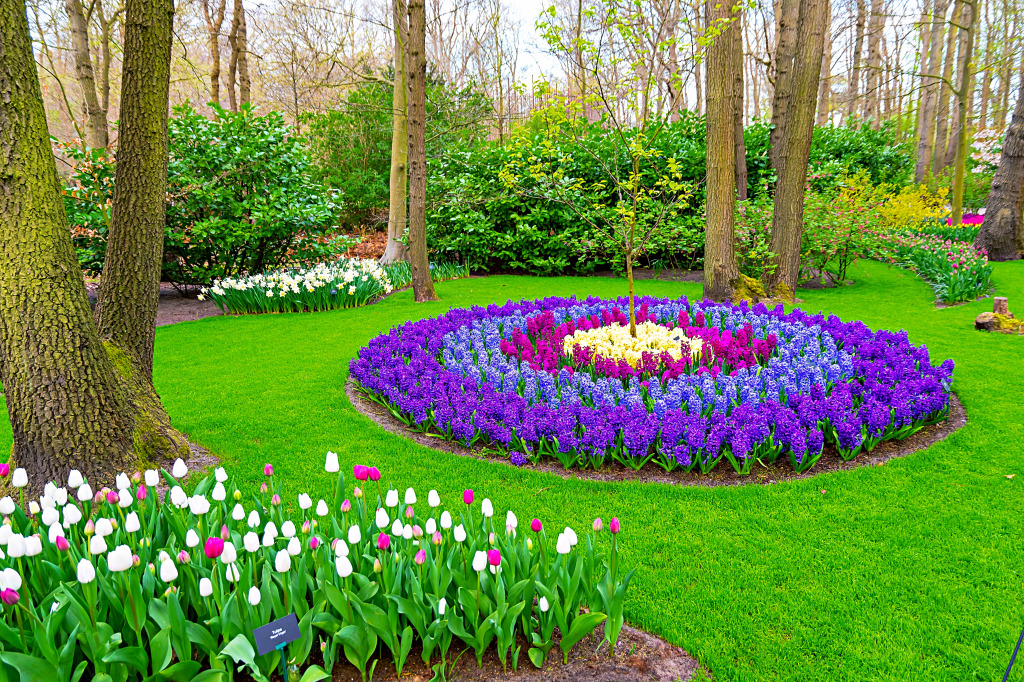Wunderschöner Garten in den Niederlanden jigsaw puzzle in Blumen puzzles on TheJigsawPuzzles.com