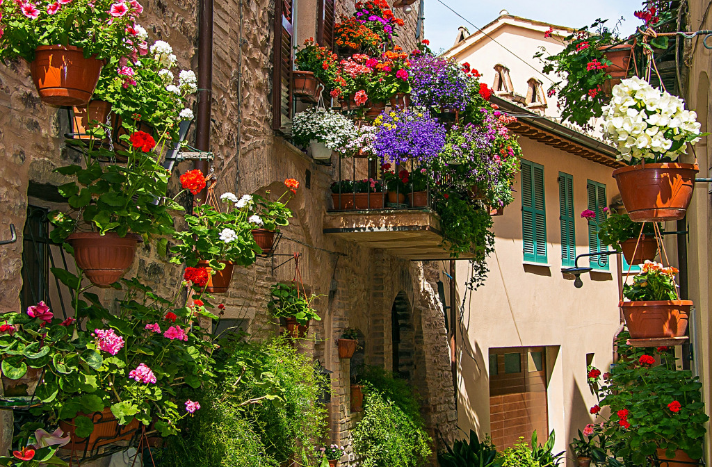 Charming Narrow Street in Italy jigsaw puzzle in Flowers puzzles on TheJigsawPuzzles.com