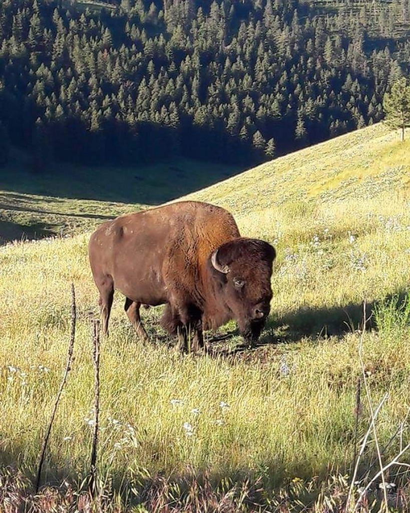 3 jigsaw puzzle in harold wilson puzzles on TheJigsawPuzzles.com