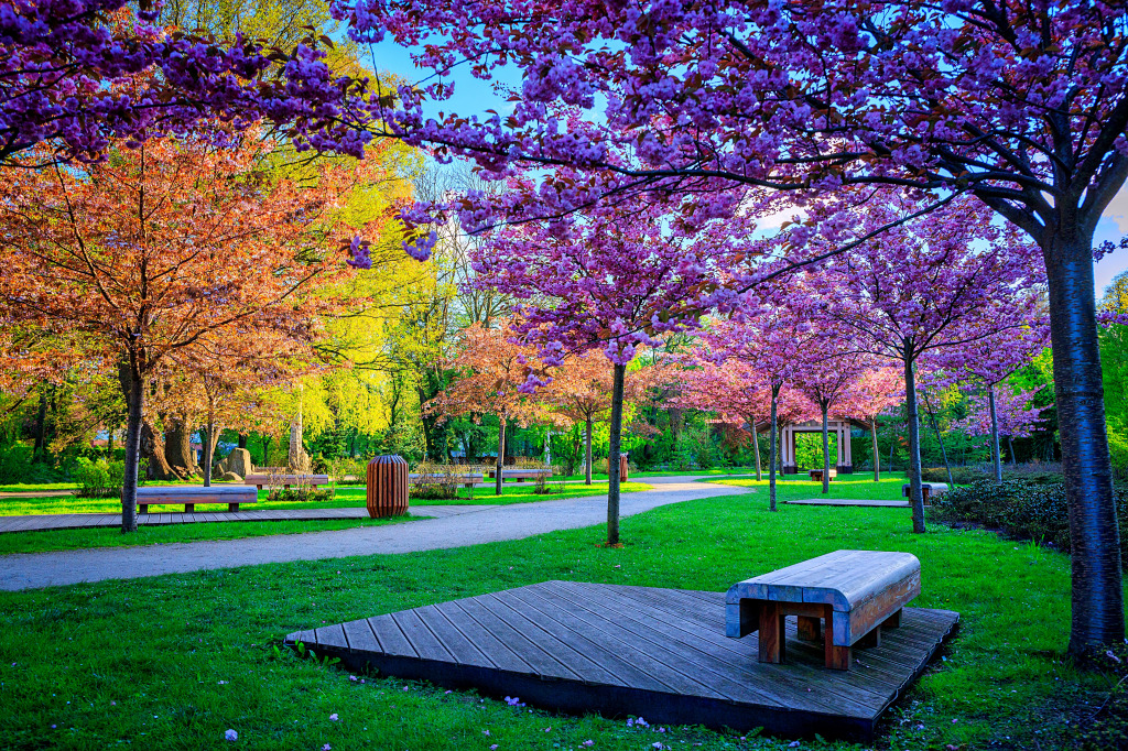 Oliwa Public Park in Spring, Gdansk, Poland jigsaw puzzle in Great Sightings puzzles on TheJigsawPuzzles.com