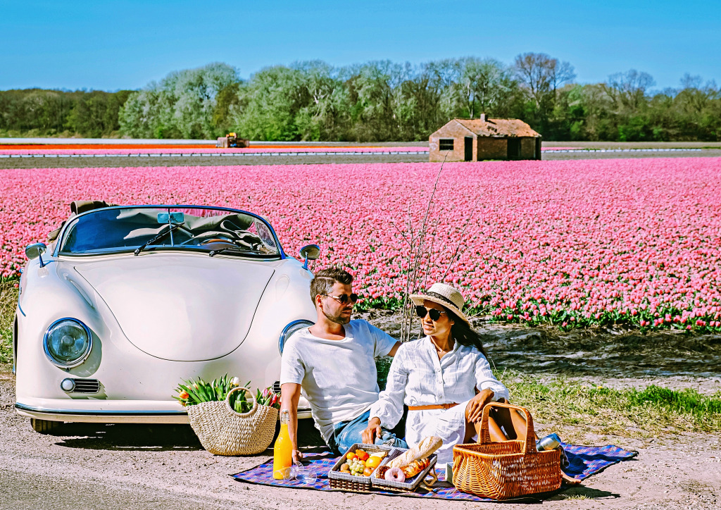 Picnic in the Tulip Fields, Lisse, the Netherlands jigsaw puzzle in Cars & Bikes puzzles on TheJigsawPuzzles.com