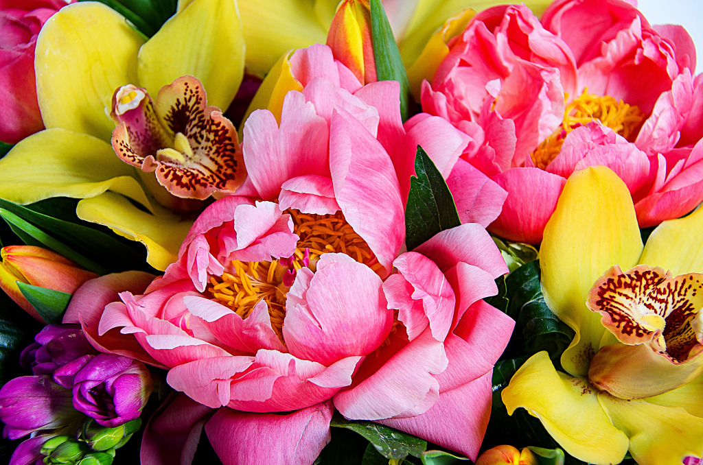 Mixed Flowers Close-Up jigsaw puzzle in Flowers puzzles on TheJigsawPuzzles.com