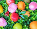 Multicolored Fruits on the Green Grass