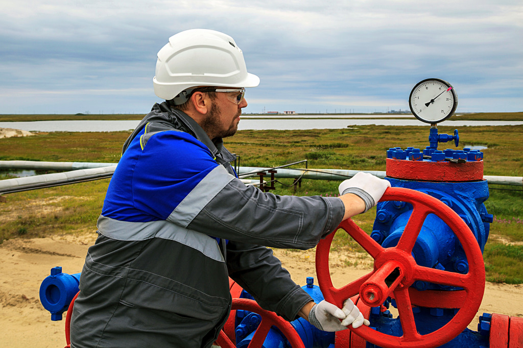 Оператор в газовой отрасли jigsaw puzzle in Люди puzzles on TheJigsawPuzzles.com