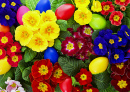 Primrose Flowers Decorated with Easter Eggs
