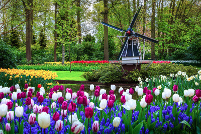 Famous Keukenhof Garden, the Netherlands