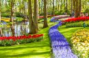 Keukenhof Royal Park, Lisse, the Netherlands