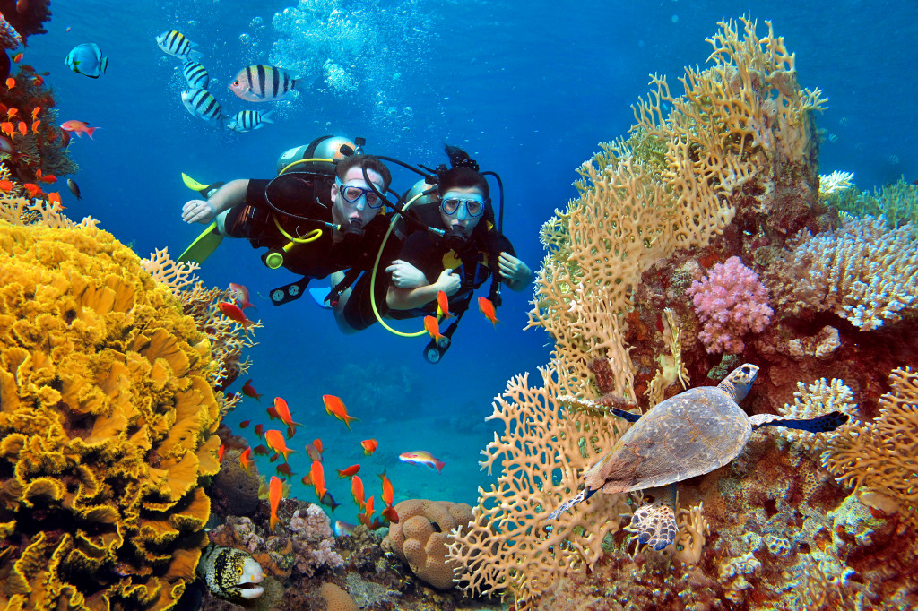 Das Paar taucht zwischen Korallen und Fischen ein jigsaw puzzle in Unter dem Meer puzzles on TheJigsawPuzzles.com