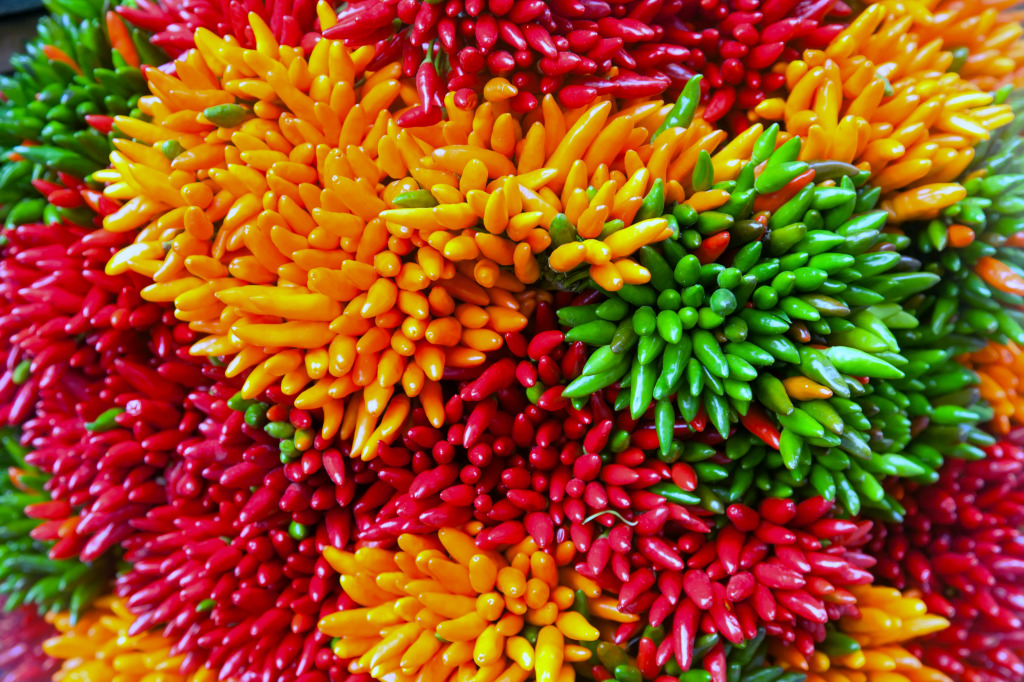 Colorful Bundles of Chili Peppers at the Market jigsaw puzzle in Fruits & Veggies puzzles on TheJigsawPuzzles.com