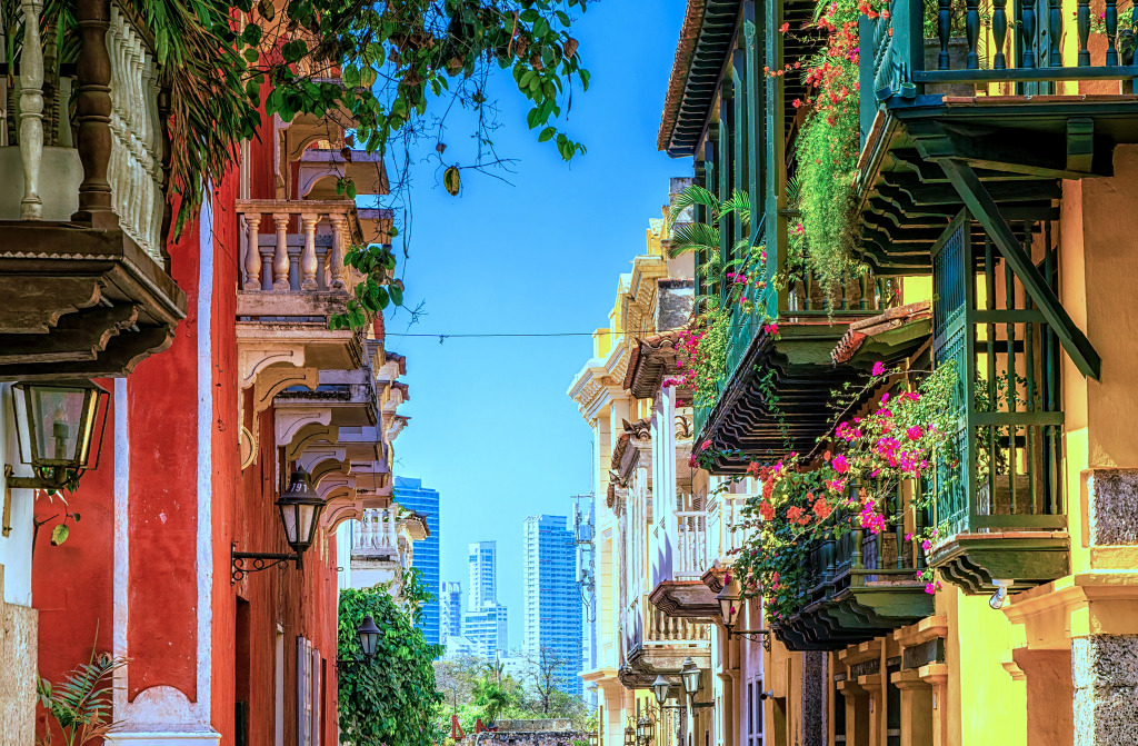 Centro Histórico de Cartagena, Colômbia jigsaw puzzle in Paisagens de Rua puzzles on TheJigsawPuzzles.com
