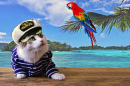 Will you Go Sailing with Me?