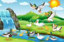 Funny Ducks