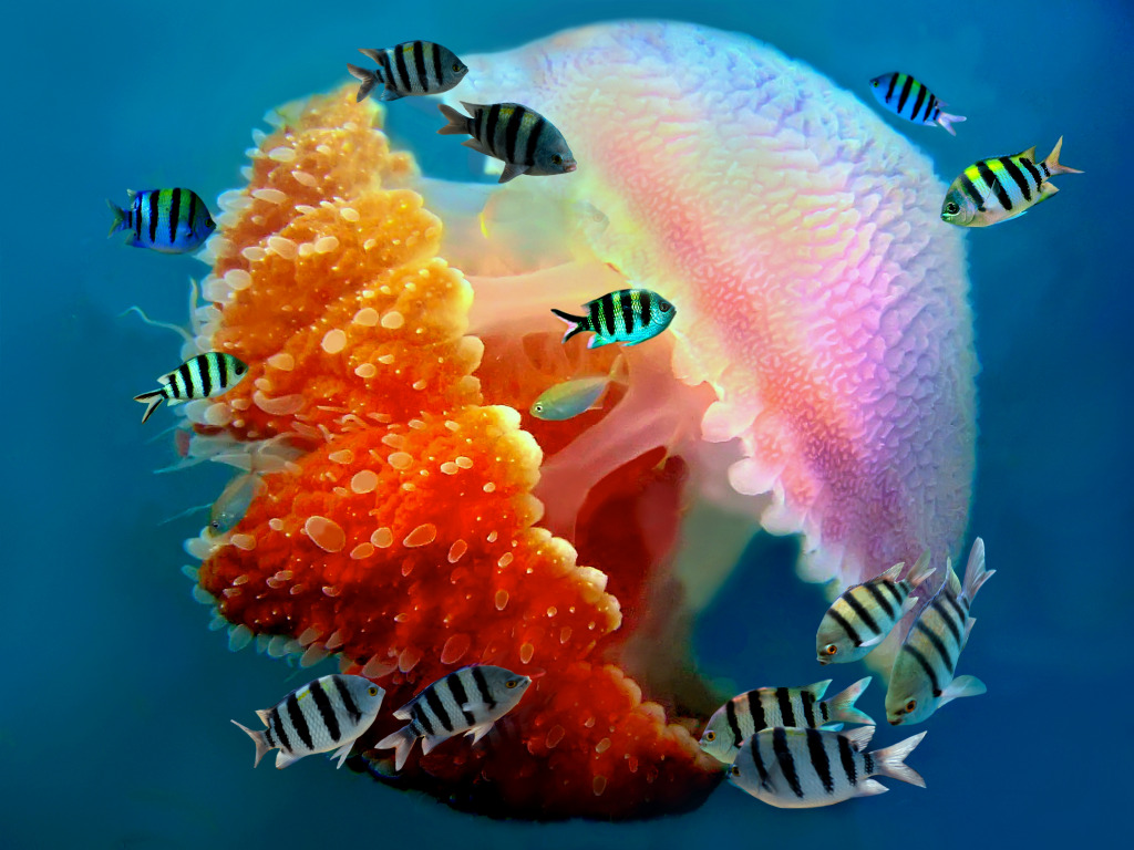 Tropical Jellyfish Underwater, Thailand jigsaw puzzle in Under the Sea puzzles on TheJigsawPuzzles.com
