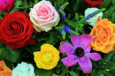 Beautiful Floral Arrangement