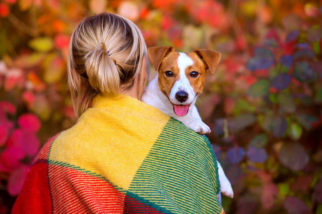 Girl and Jack Russell Terrier in a Park jigsaw puzzle in Animals puzzles on TheJigsawPuzzles.com