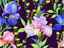 Seamless Pattern with Irises on a Black Background