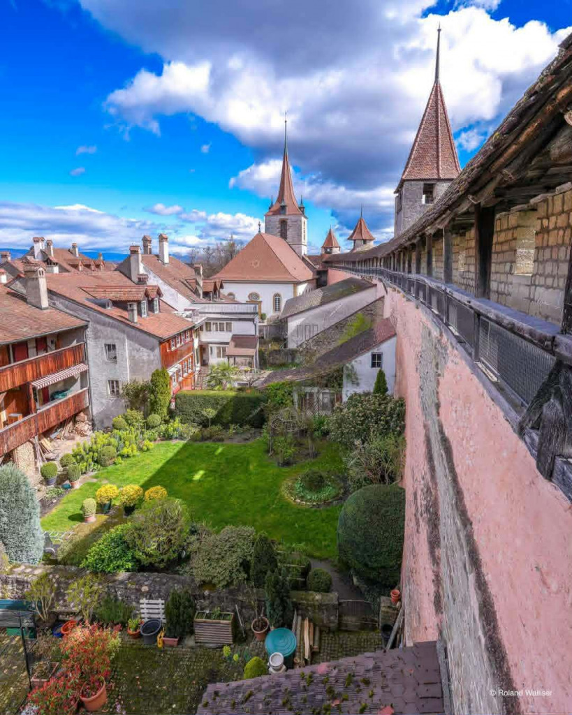 MURTEN jigsaw puzzle in JOHN MACDONALD puzzles on TheJigsawPuzzles.com
