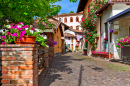 Narrow Cobblestone Street in Barolo, Italy