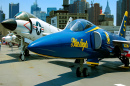 Blue Angels Grumman F-11 Tiger, New York, USA