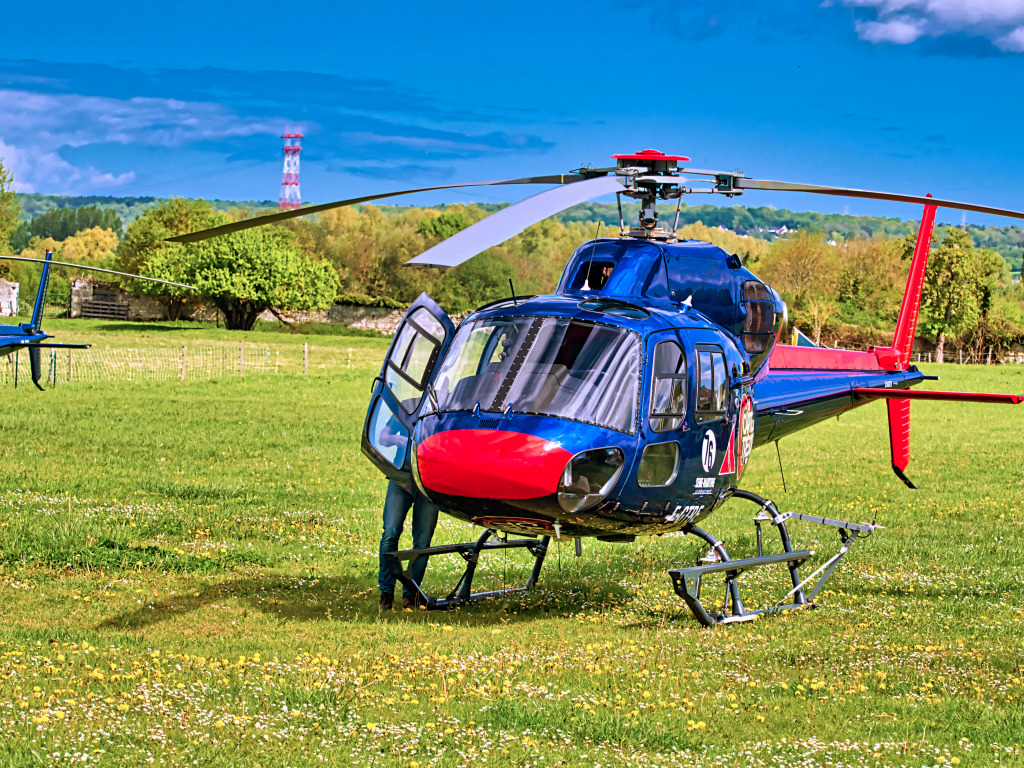 La Carte TV  aux Tresors Show, France jigsaw puzzle in Aviation puzzles on TheJigsawPuzzles.com