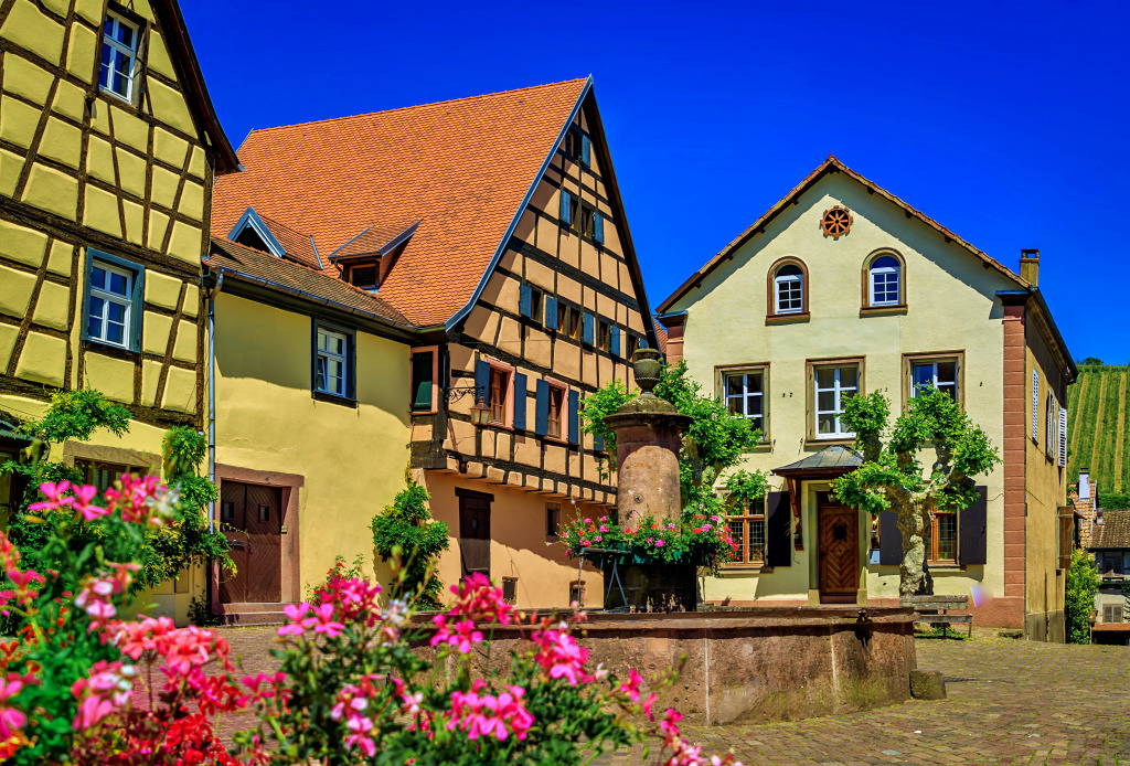 Traditional Half Timbered Houses and Grapevines In A Vineyard On A Hill In A Popular Village On the Alsatian Wine Route In Rique jigsaw puzzle in Пазл дня puzzles on TheJigsawPuzzles.com