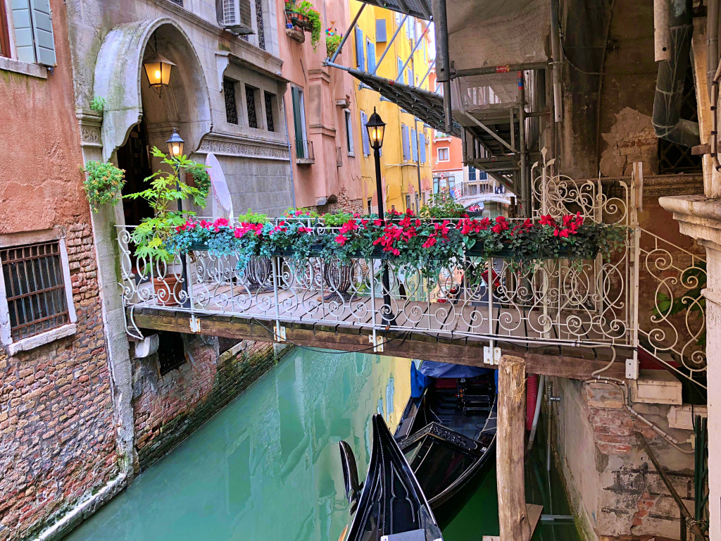 Small Wooden Bridge in Venice jigsaw puzzle in Bridges puzzles on TheJigsawPuzzles.com